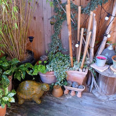Chouzé-sur-Loire Escale De Loire Bed & Breakfast エクステリア 写真