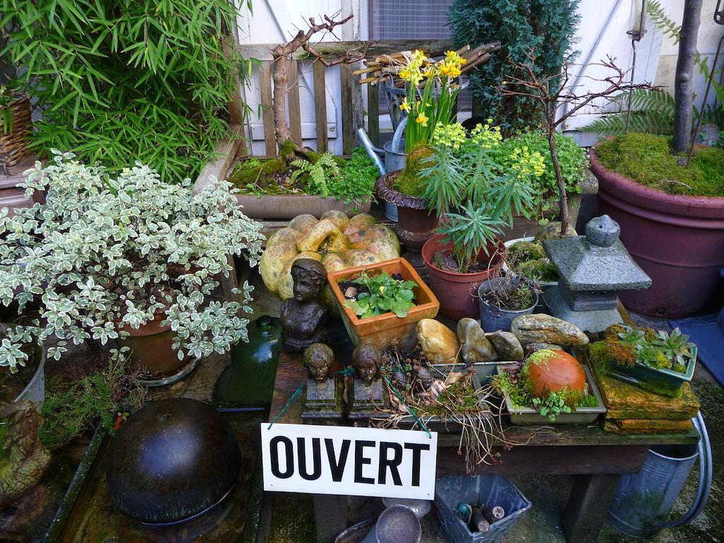 Chouzé-sur-Loire Escale De Loire Bed & Breakfast エクステリア 写真