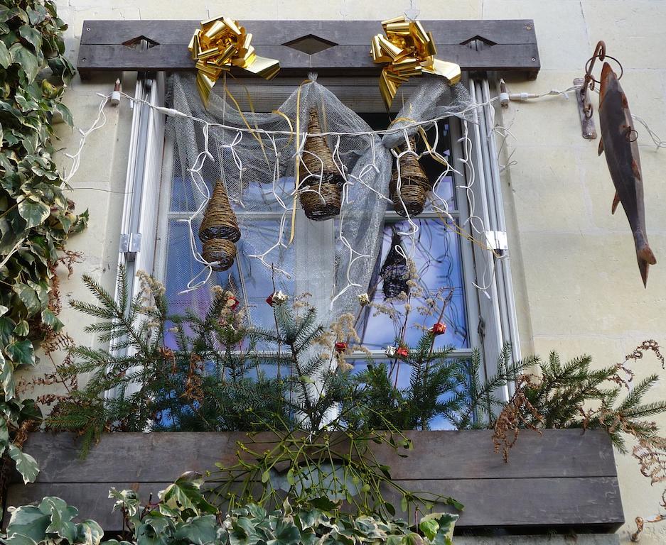Chouzé-sur-Loire Escale De Loire Bed & Breakfast エクステリア 写真