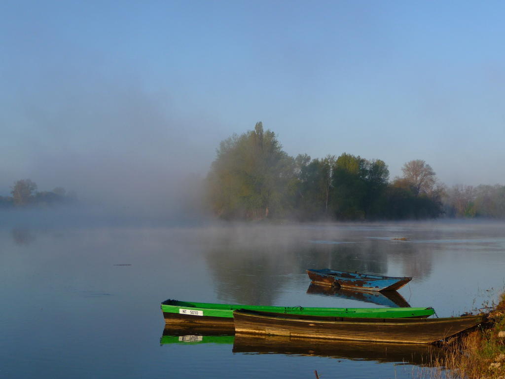 Chouzé-sur-Loire Escale De Loire Bed & Breakfast エクステリア 写真