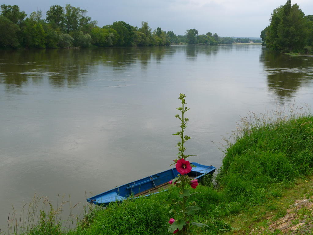 Chouzé-sur-Loire Escale De Loire Bed & Breakfast エクステリア 写真