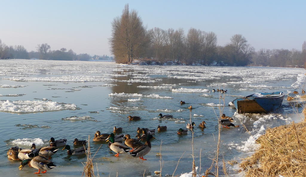 Chouzé-sur-Loire Escale De Loire Bed & Breakfast エクステリア 写真