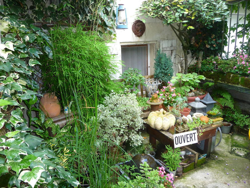 Chouzé-sur-Loire Escale De Loire Bed & Breakfast エクステリア 写真