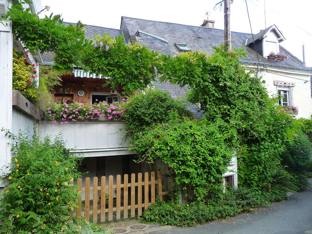 Chouzé-sur-Loire Escale De Loire Bed & Breakfast エクステリア 写真
