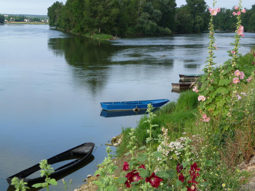 Chouzé-sur-Loire Escale De Loire Bed & Breakfast エクステリア 写真